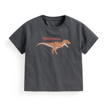 竹節棉寬鬆恐龍印花T恤-童