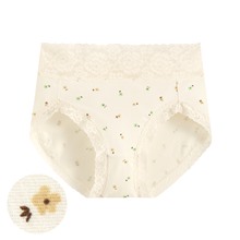 棉質蕾絲小花印花高腰內褲-女