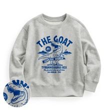 Jurassic World毛圈印花圓領衫-03-童