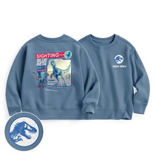Jurassic World毛圈印花圓領衫-01-童