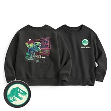 Jurassic World毛圈印花圓領衫-01-童