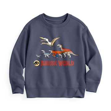 Jurassic World毛圈印花圓領衫-04-童