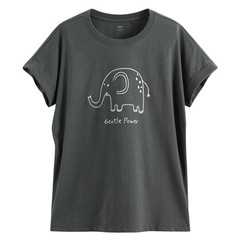 165／53 s合適 深色不透