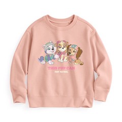 女鵝愛的汪汪隊，希望她會喜歡。