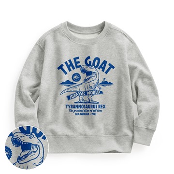 Jurassic World毛圈印花圓領衫-03-童