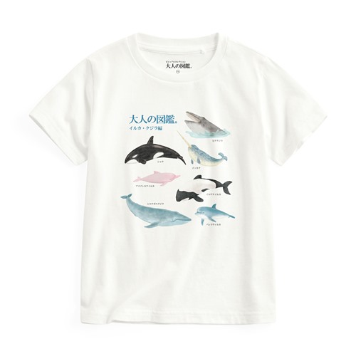 大人的圖鑑印花T恤-02-童