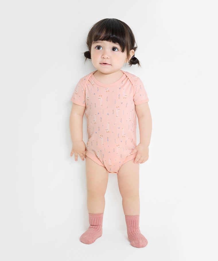 春夏嬰幼兒新品：Baby · 純棉羅紋動物印花包臀衣,Baby · 寬羅紋中筒襪(3入)