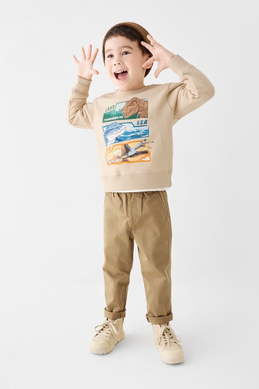 Jurassic World毛圈印花圓領衫-02-童