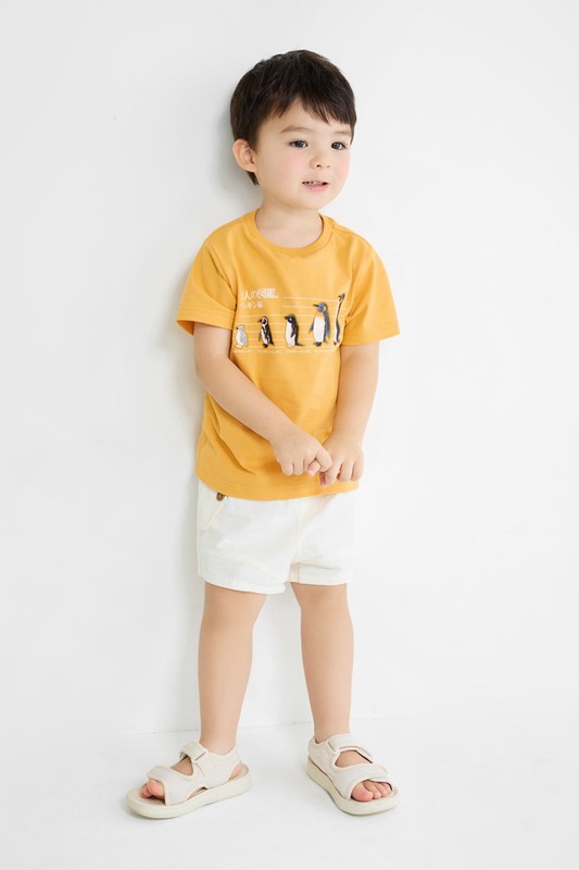 大人的圖鑑印花T恤-03-童