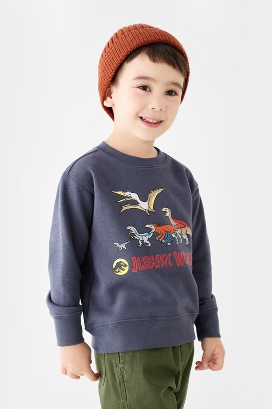 Jurassic World毛圈印花圓領衫-04-童