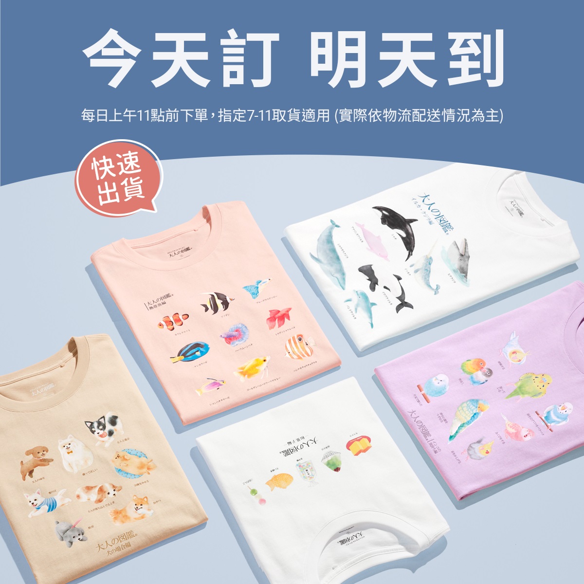 超人氣授權【大人的圖鑑】熱銷中